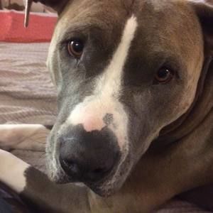 Meet your Posher, Rick